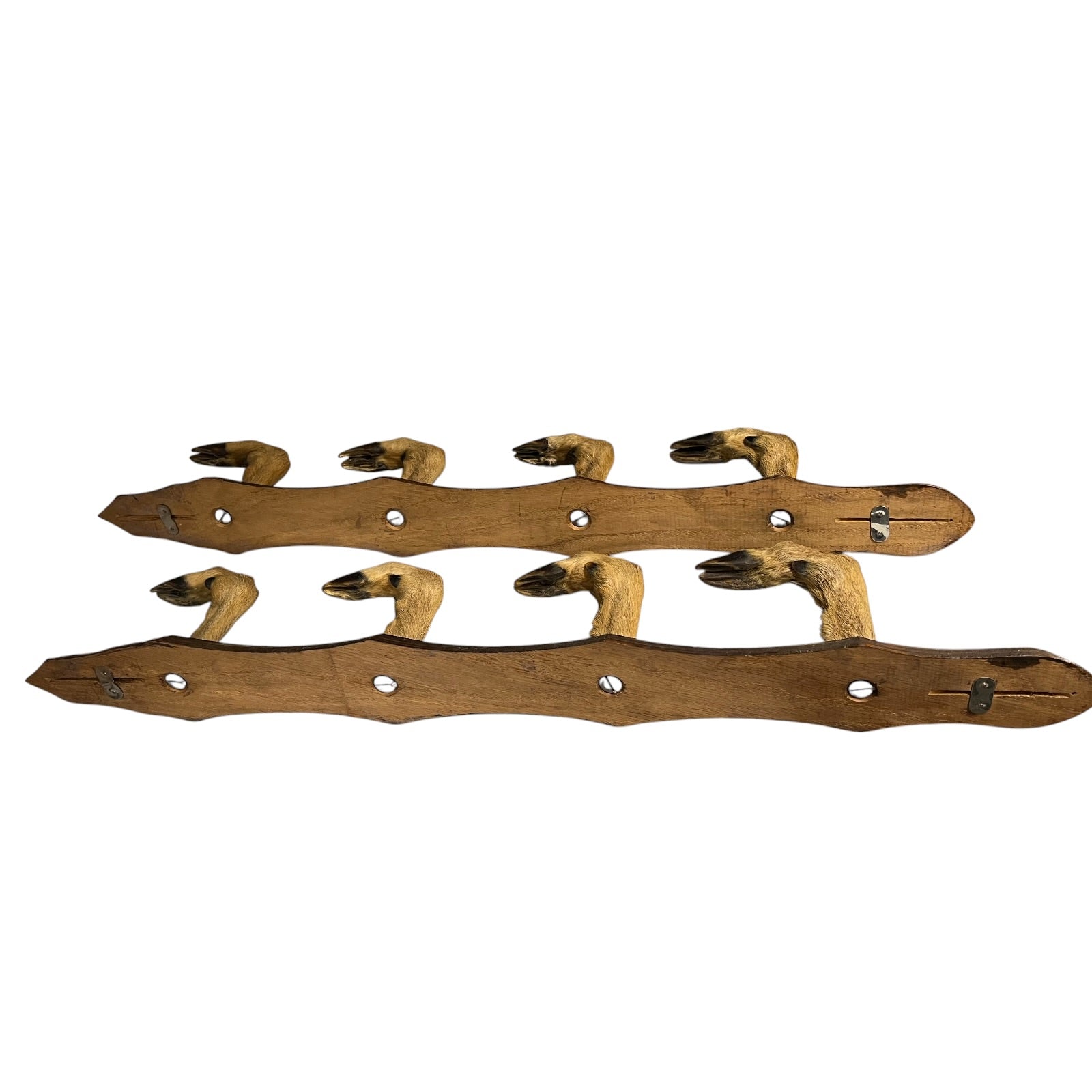 Wooden deer hoof coat rack on a white background