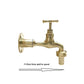 Brass wall mounted kitchen tap sold by All Things French Store