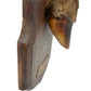 Taxidermy deer leg and hoof hunting trophy dated 1976 sold by All Things French Store