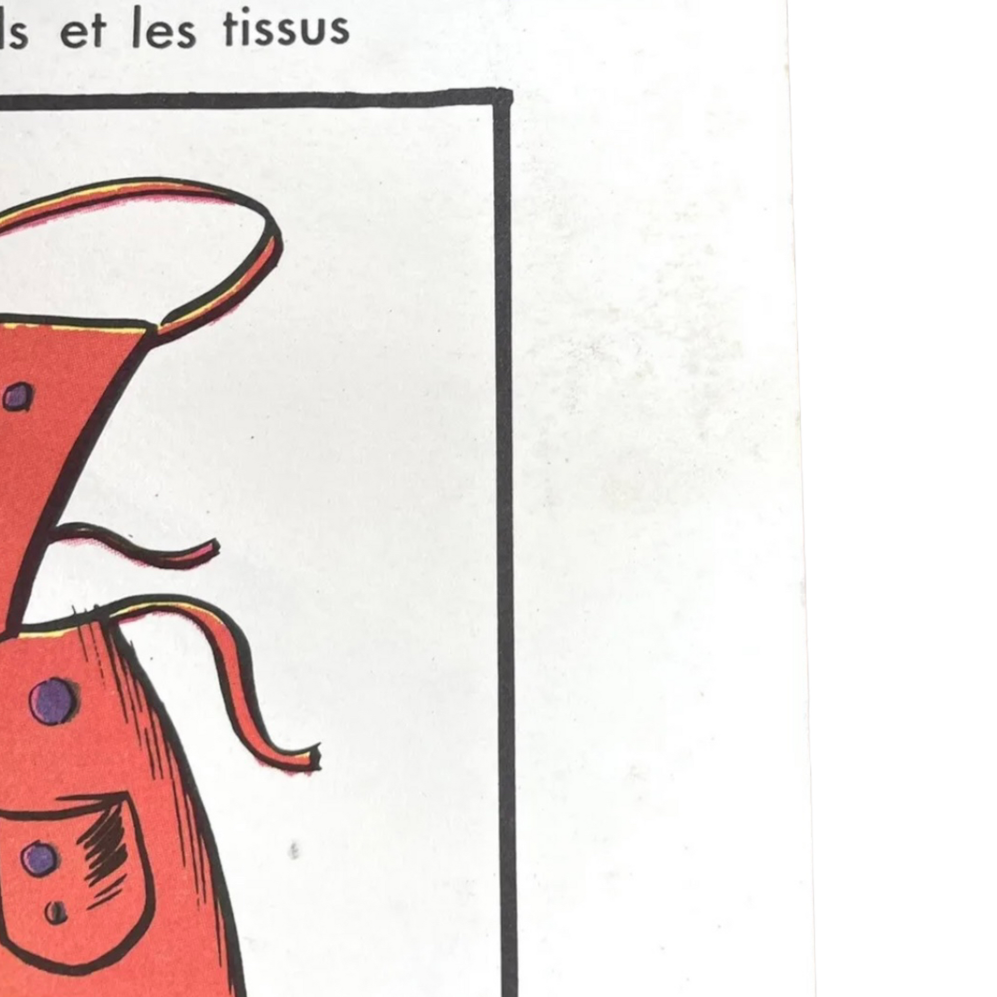 French vintage school biology poster