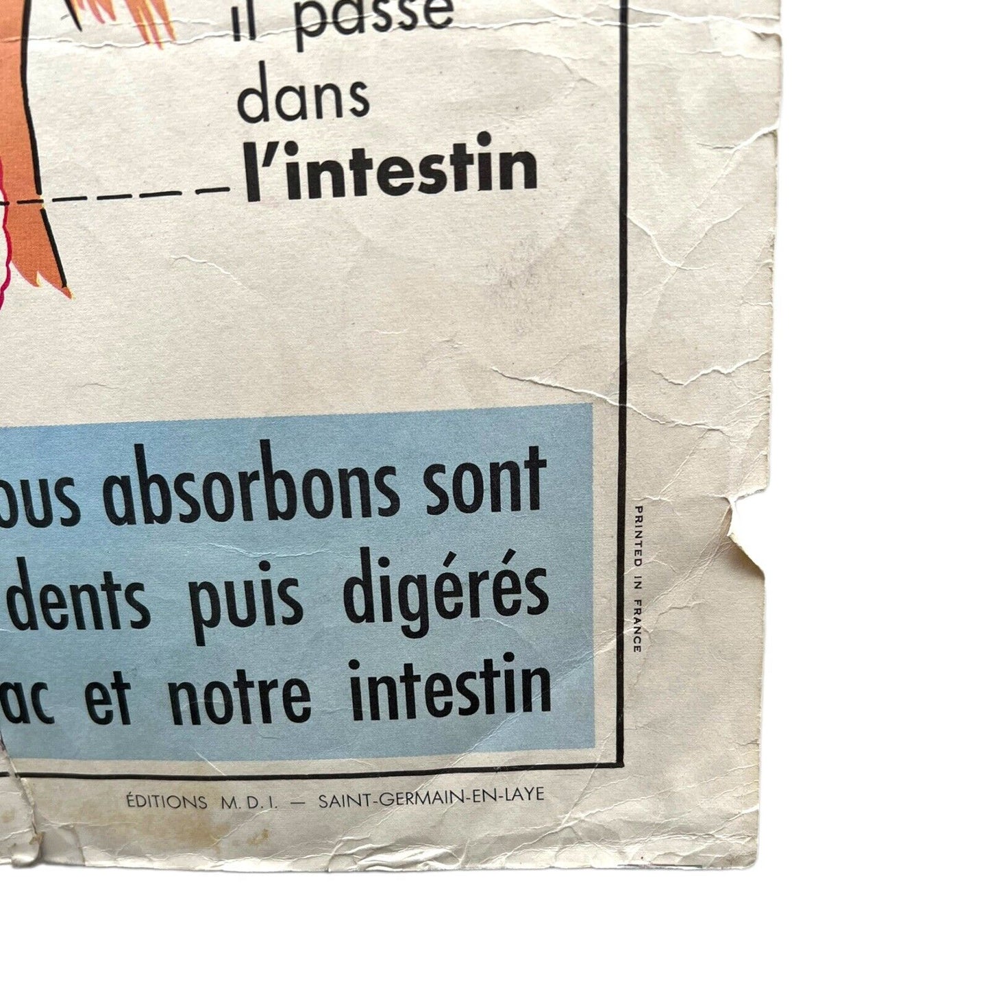 Image of French vintage double sided vintage school poster